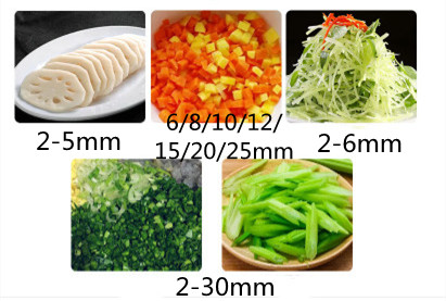 Automatische Gemüse- und Karto – Vegetable Chopper Bewertung und Preis