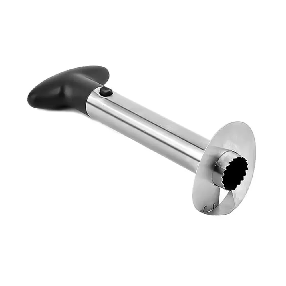 Spot Edelstahl Ananas Schäler  – Kitchen Gadgets Vegetable Cutter Bewertung und Preis