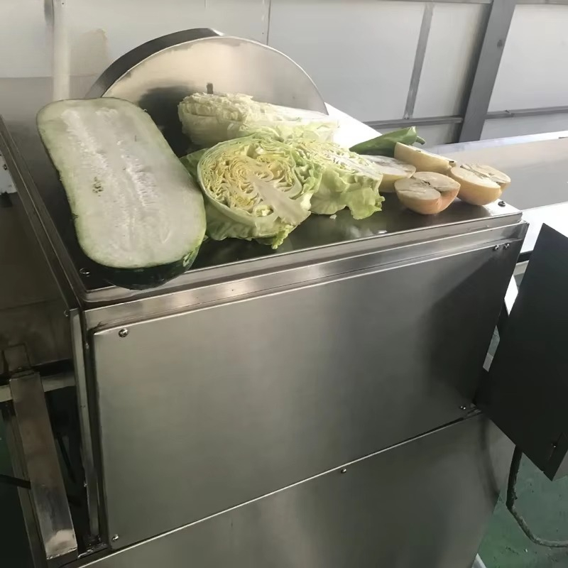 Gemüseverarbeitungs-Zerkleiner – Vegetable Chopper Bewertung und Preis