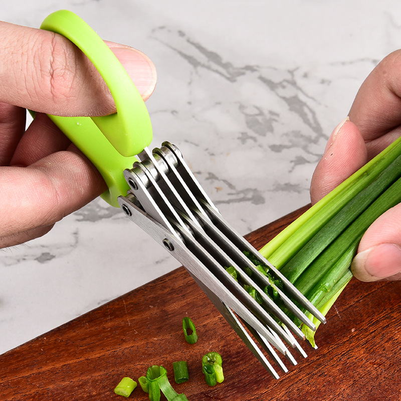 Edelstahl-Mehrschicht-Kräuters – Herb Scissors 5 Blade Bewertung und Preis