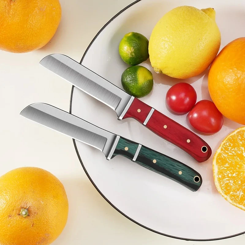 Obstschäler aus Edelstahl, Obs – Kitchen Home Gadgets Bewertung und Preis