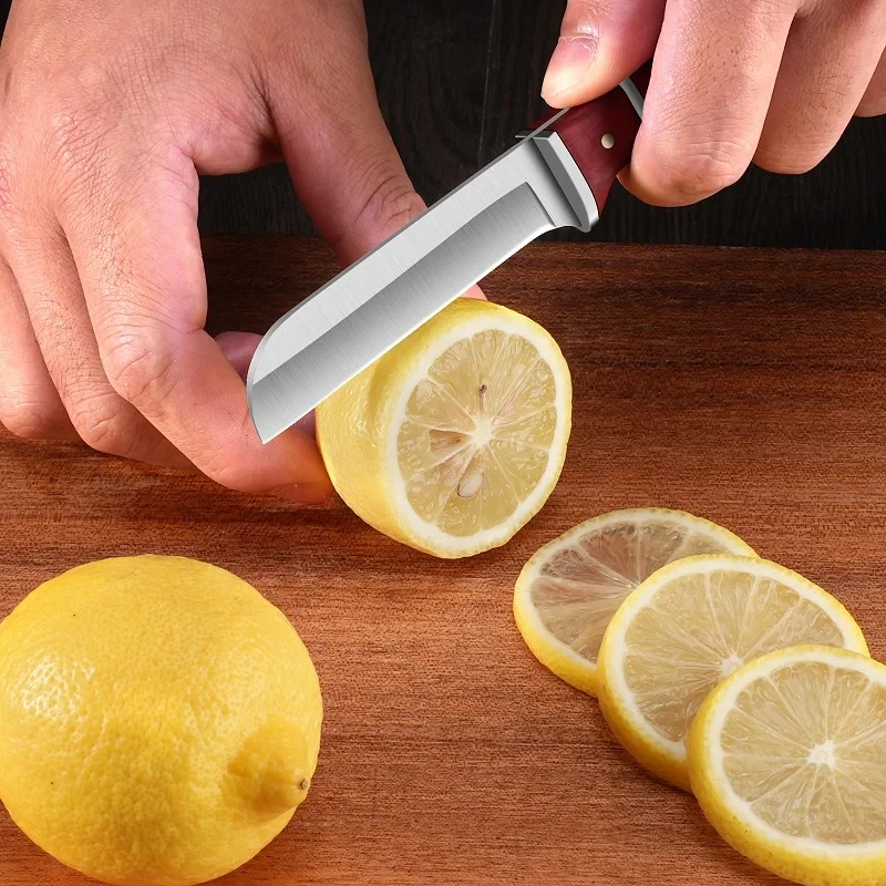 Obstschäler aus Edelstahl, Obs – Kitchen Home Gadgets Bewertung und Preis